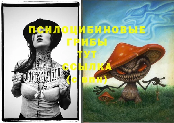 ешки Осинники