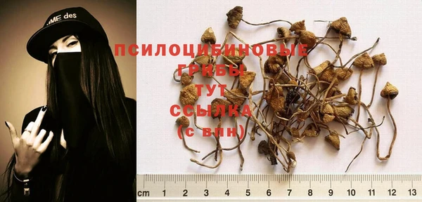 ешки Осинники