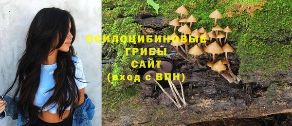 ешки Осинники